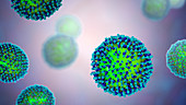 Measles virus, illustration