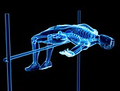 High jumper's skeleton, illustration