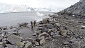 Melchior Islands, Antarctica