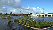 Hurricane Irma, Florida, 2017