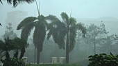 Hurricane Irma, Florida, 2017