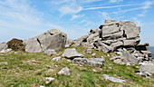 Bedrock in the Preseli Hills