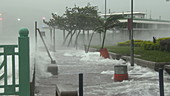 Typhoon Hato storm surge, Hong Kong, 2017