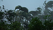 Super typhoon Mangkhut, Philippines, 2018