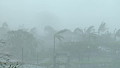 Typhoon Meranti, Taiwan, September 2016