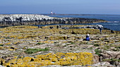 Tourists on the Farne Islands, UK