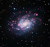 Spiral galaxy NGC 300, optical image