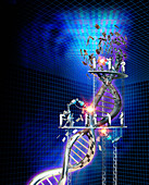 Scientist working on DNA, illustration