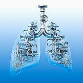 Mechanical lungs, illustration