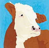 cow, illustration