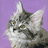 Long haired tabby kitten, illustration