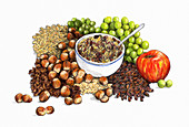 Range of healthy fruit, nuts and seeds, illustration