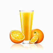 Fresh oranges and glass of juice, illustration