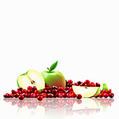 Fresh apples and cranberries, illustration