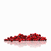 Fresh cranberries, illustration