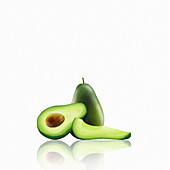 Whole and cut avocado, illustration