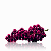 Bunch of red grapes, illustration