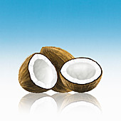 Whole and halved coconut, illustration