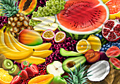 Lots of different fruit, illustration
