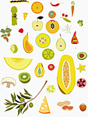 Variety of fruits and vegetables, illustration