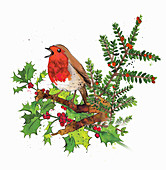 Robin redbreast in winter, illustration