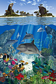 Dolphin and fish swimming underwater in ocean, illustration