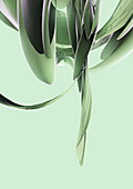 Abstract green swirling shapes, illustration