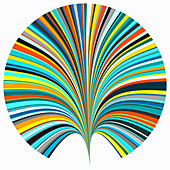 Abstract fan shape with rainbow colours, illustration