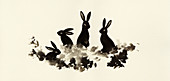Rabbits sitting in grass together, illustration