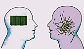Organized and disorganized barcode in heads, illustration