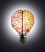 Illuminated brain light bulb, illustration