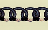 Shaking hands linked in chain, illustration
