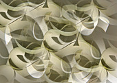 Chaotic pile of curling paper swirls, illustration