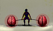Man exercising with human brain barbell, illustration