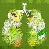Branches of trees forming healthy lungs, illustration