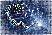 Double helix and genetic code, illustration