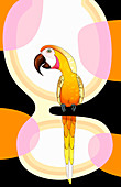 Parrot on perch, illustration