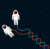 Double helix hose connecting to astronauts, illustration