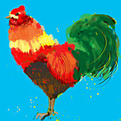 Rooster, illustration