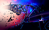 Double helix with DNA coding, illustration
