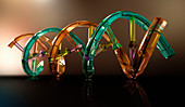 Plastic double helix model with DNA coding, illustration