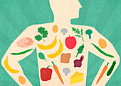 Variety of healthy food inside of man's body, illustration