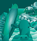 Green farming with cow, maize and plough, illustration