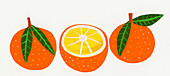Three oranges in a row, illustration