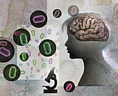 Child's brain and bacteria, illustration