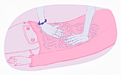 Close up of hands massaging back, illustration