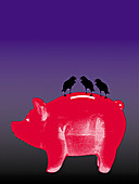 Three black crows on piggy bank, illustration