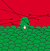 Head standing above the crowd, illustration