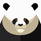 Panda, illustration