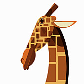 Giraffe, illustration